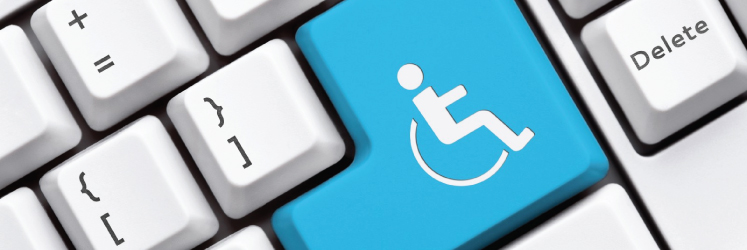 Web accessibility services