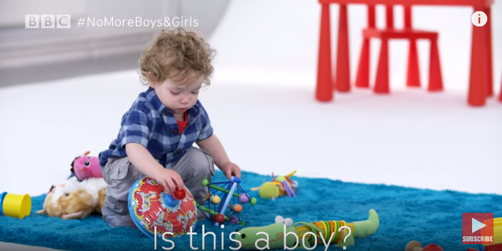 Girl toys vs boy toys: The experiment
