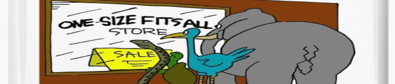 Image of elephant, duck, tortoise and snake at a store glass display which reads as “One size fits all store” and SALE sticker